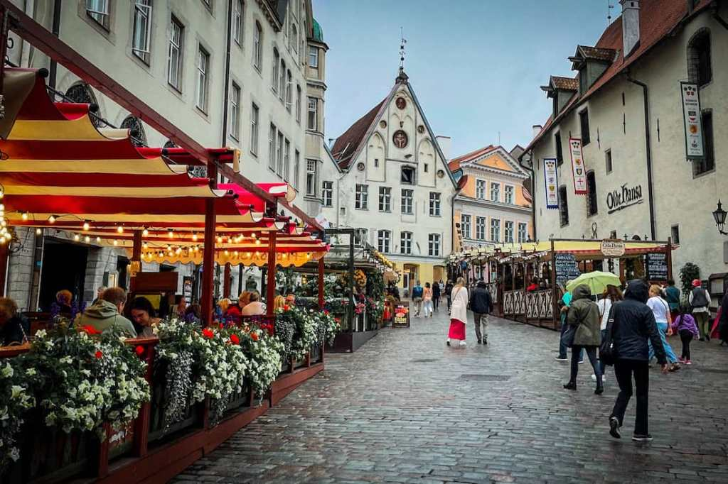 Where to go in November?
